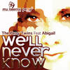 We'll Never Know (Ronnie Maze Dub Mix) - Perry Twins&Abigail