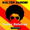Funky Solution (Original Mix) - Walter Gardini