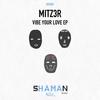 Vibe Your Love (Original Mix) - Mizt3r