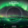 Polaris (Original Mix) - Syn Drome