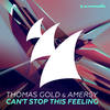 Can't Stop This Feeling - Thomas Gold&Amersy