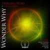 Wonder Why (Tantrum's Temper Mix) - Sterling Void&Ian Campbell