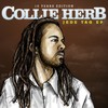 C-Herb - Collie Herb