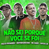 Não Sei Porquê Você Se Foi(feat. Mc Kaio) - Falco Pesadão&Jefferson Bok&Lucas LK