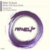 When The Soul Hurts (Original Mix) - Alter Future