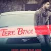 Tere Bina - Sameer