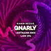 Gnarly (Original Mix) - Ramin Rezaie