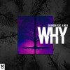 Why(feat. A Me B) - A Me B&DISORDER