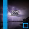 Imminent (Abstract Silhouette Remix) - Boskii