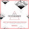 Ain't No Mountain High Enough (Artenvielfalt Edit) - Freischwimmer&Dionne Bromfield