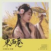 东西巷 (伴奏) - 水调歌头&芸箐