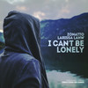 I Can't Be Lonely (Club Mix) - Zonatto&Larissa Lahw