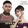 Apakah Itu Cinta - Tiara Amora&Gerry Mahesa