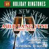 Auld Lang Syne - Dominik Hauser