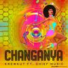 Changanya (feat. Chief Music) - Krewkut&Chief Music