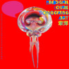 梦在前方(伴奏) - 宋洋&高进