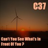 Can't You See What's in Front of You ? - C37