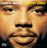 That's The Way Love Goes - Norman Brown