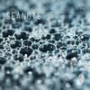 Canvas(feat. Sponce) (Original Mix) - Seanote&Sponce