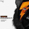 Endless (Original Mix) - RMNY