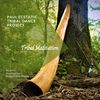 Analog Tribal Didgeridoo And Drums (Original Mix) - Paul Ecstatic Tribal Dance Project