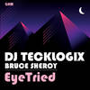 EyeTried (Original Mix) - DJ TeckLogix&Bruce Sheroy