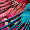 Hurting (Tensnake Remix) - Friendly Fires