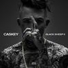 4 SHO (Explicit) - Caskey&Birdman