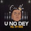 You No Dey Fall My Hand - Chris Mega