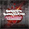 Street Survivor (Original Mix) - Damir Pushkar&B.Original