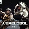 Wereldbol - Kav Verhouzer&De Hofnar