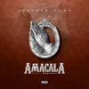 Amacala (feat. Request) - Ntokozo Amoh&Request