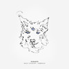 Wolf Country - Durante