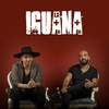 No Te Quejes Tanto - La Iguana