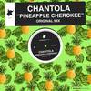 Pineapple Cherokee (Original Mix) - Chantola