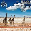 Back To Planet Earth (Original Mix) - Willy Real&David Prap