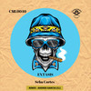 Extasis (Andres Garcia|CL|Remix) - Seba Cortes