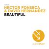 Beautiful (TropiCali Remix) - Hector Fonseca&David Hernandez