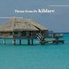 Theme from Dr Kildare - Richard Chamberlaine