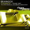 Zygomatic (Fergus Keogh Remix) - Brannock