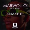 Shake It (Explicit) - Marwollo&Aisha