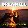 I Will Wait for You - Dreamell