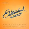 Are You Alright (Jorge Prida Remix) - Elektromekanik