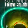 Unknown Situation (Bass To The Ground Mix) - Soul Of Paradise