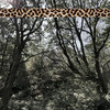 Made in Meditation (Original Mix) - Andreas Foxx