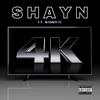 4K(feat. Maurico) (Explicit) - Shayn&Maurico