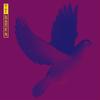 Lose Myself - Kat Knix&Ade