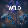 Wild (Remix) - Dj Leluc