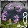 I'm Holding On - Nous