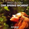 One Spring Moment(Original Mix) (Original Mix) - Static Bloom